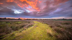 2107 De Chym P01 2107 De Chym P01