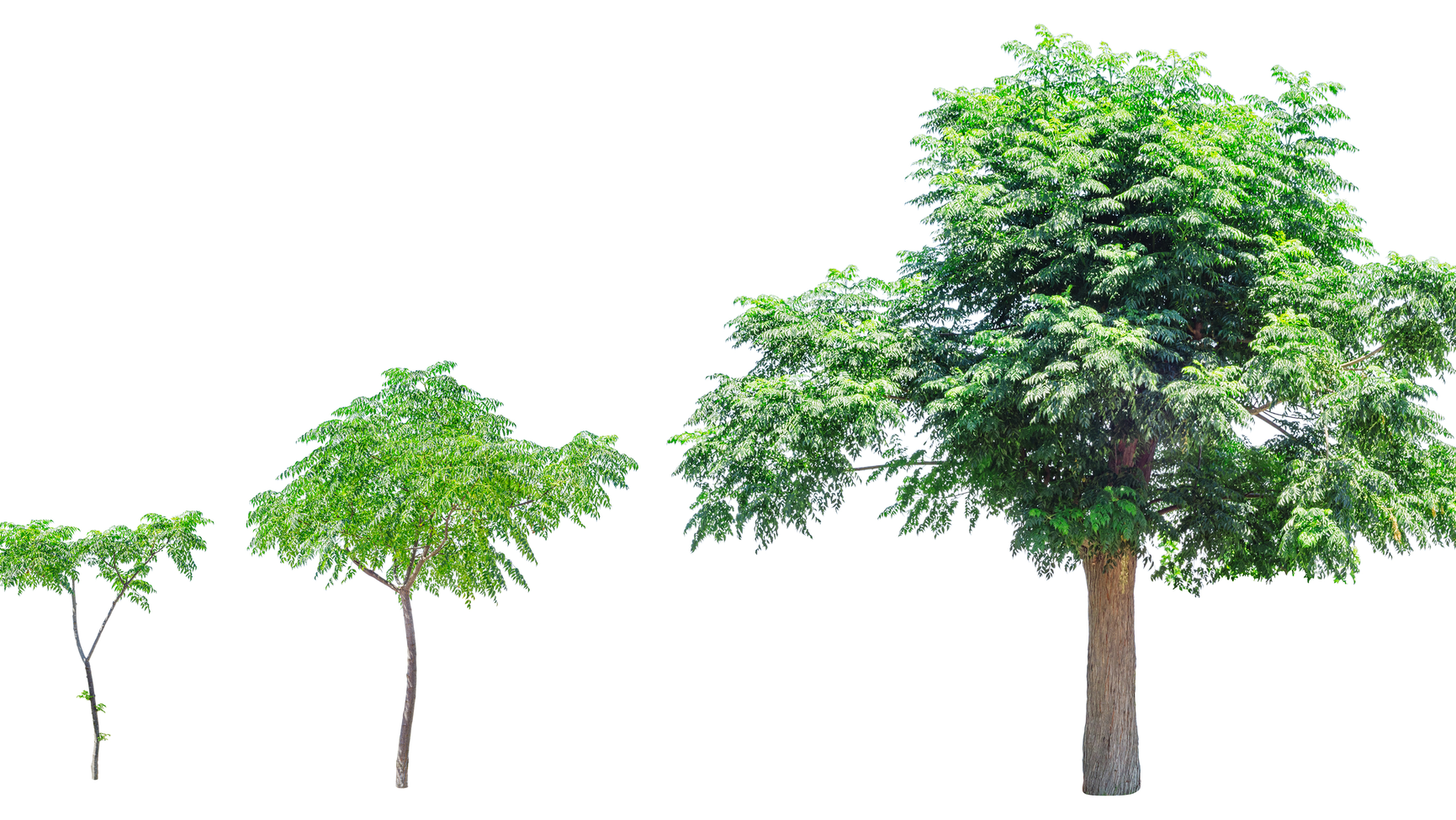 Dreamstime Xxl 75552993 6127ad4e2573f