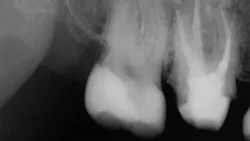 Screen Shot 2022 01 14 At 4 14 51 Pm 61e1e7dc7e5f6 Screen Shot 2022 01 14 At 4 14 51 Pm 61e1e7dc7e5f6