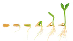 2204 De Cari P01 621d27b20b1d8 2204 De Cari P01 621d27b20b1d8