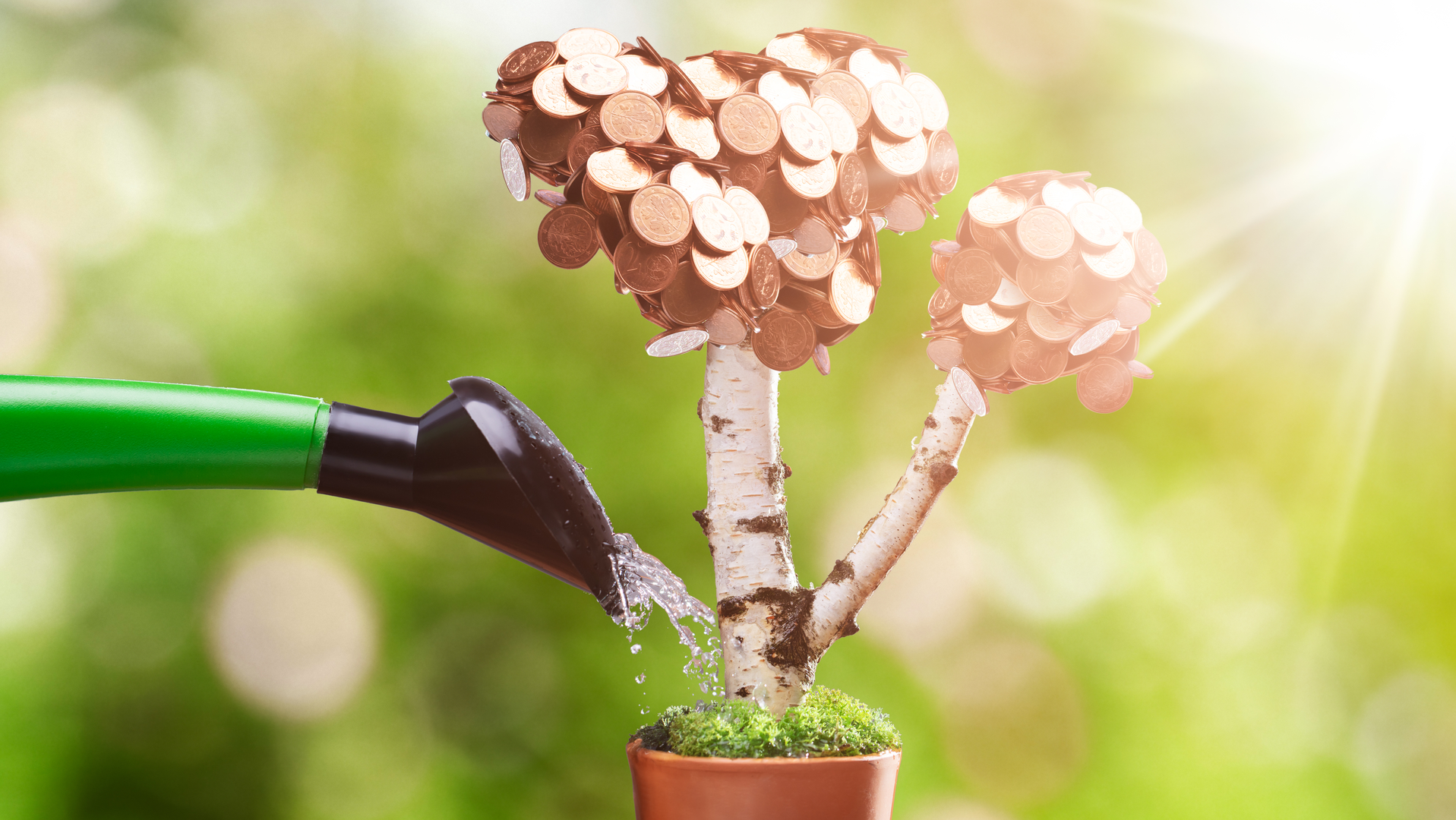 2205 De Clig P01 62447a90e681a