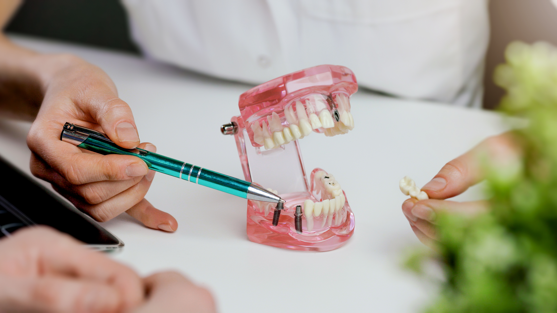 Dreamstime Xxl 204198818