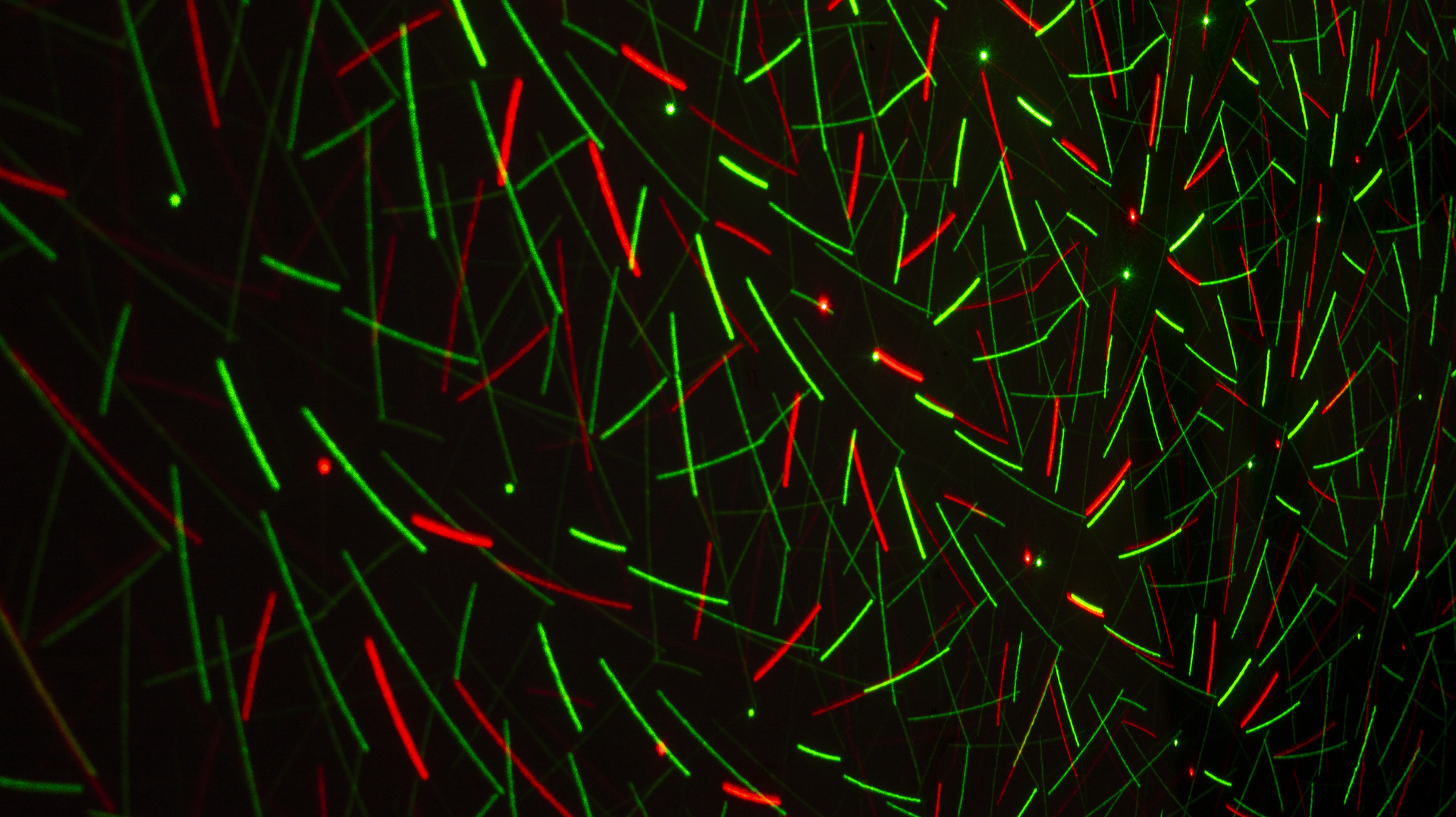 Dreamstime Xxl 211549111