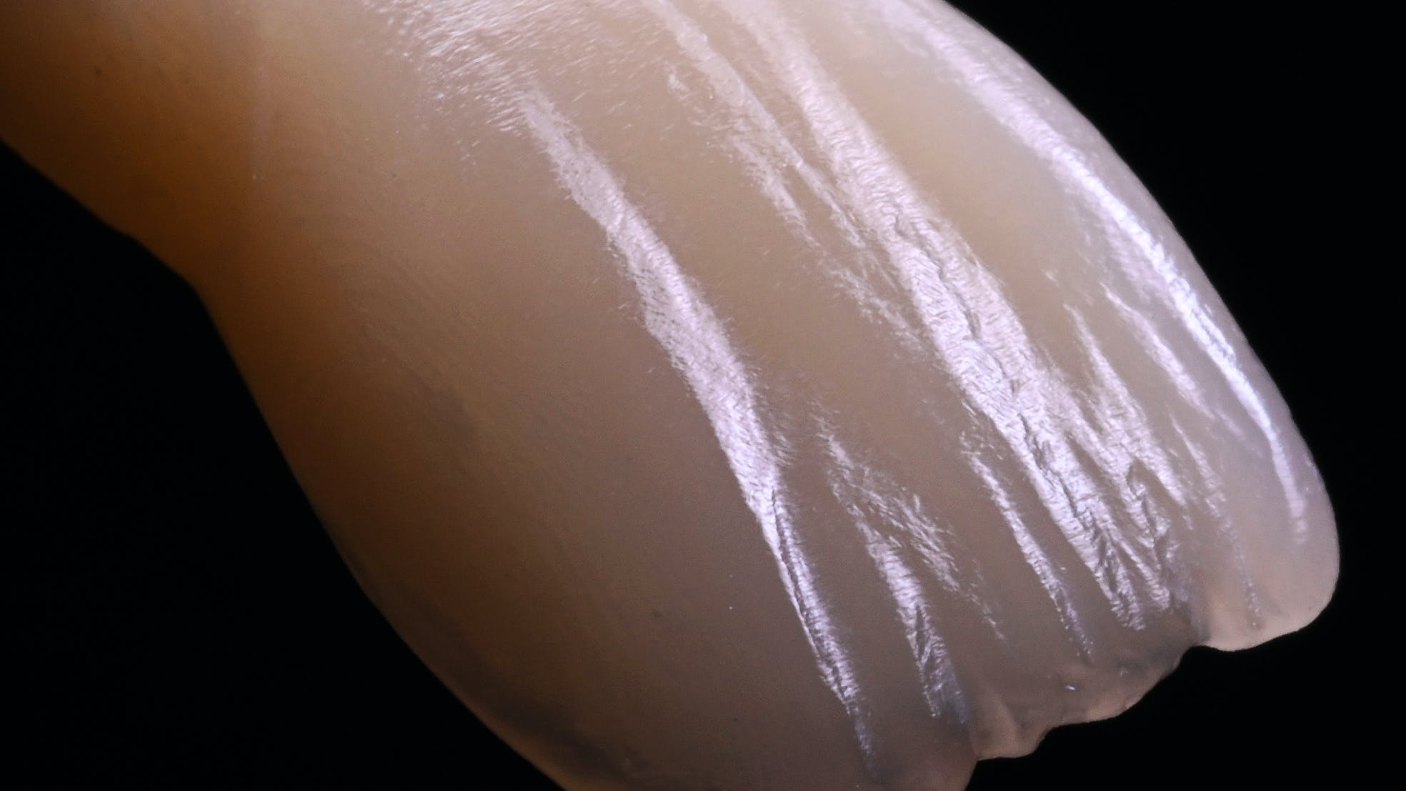 65c4073b8ec9c3001e388886 65a958caf32ae0001efffec6figure 3