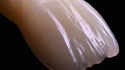 65c4073b8ec9c3001e388886 65a958caf32ae0001efffec6figure 3 65c4073b8ec9c3001e388886 65a958caf32ae0001efffec6figure 3