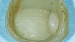 67f3e715fbd94961b61022b2 67a2422b25860de36c38521cfigure3 67f3e715fbd94961b61022b2 67a2422b25860de36c38521cfigure3