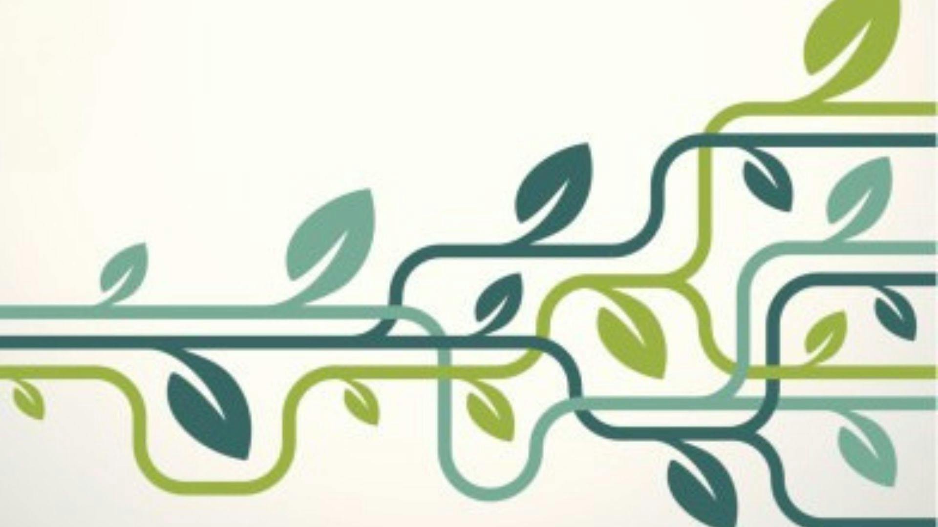 Dentists need to have PPO strategies in place.