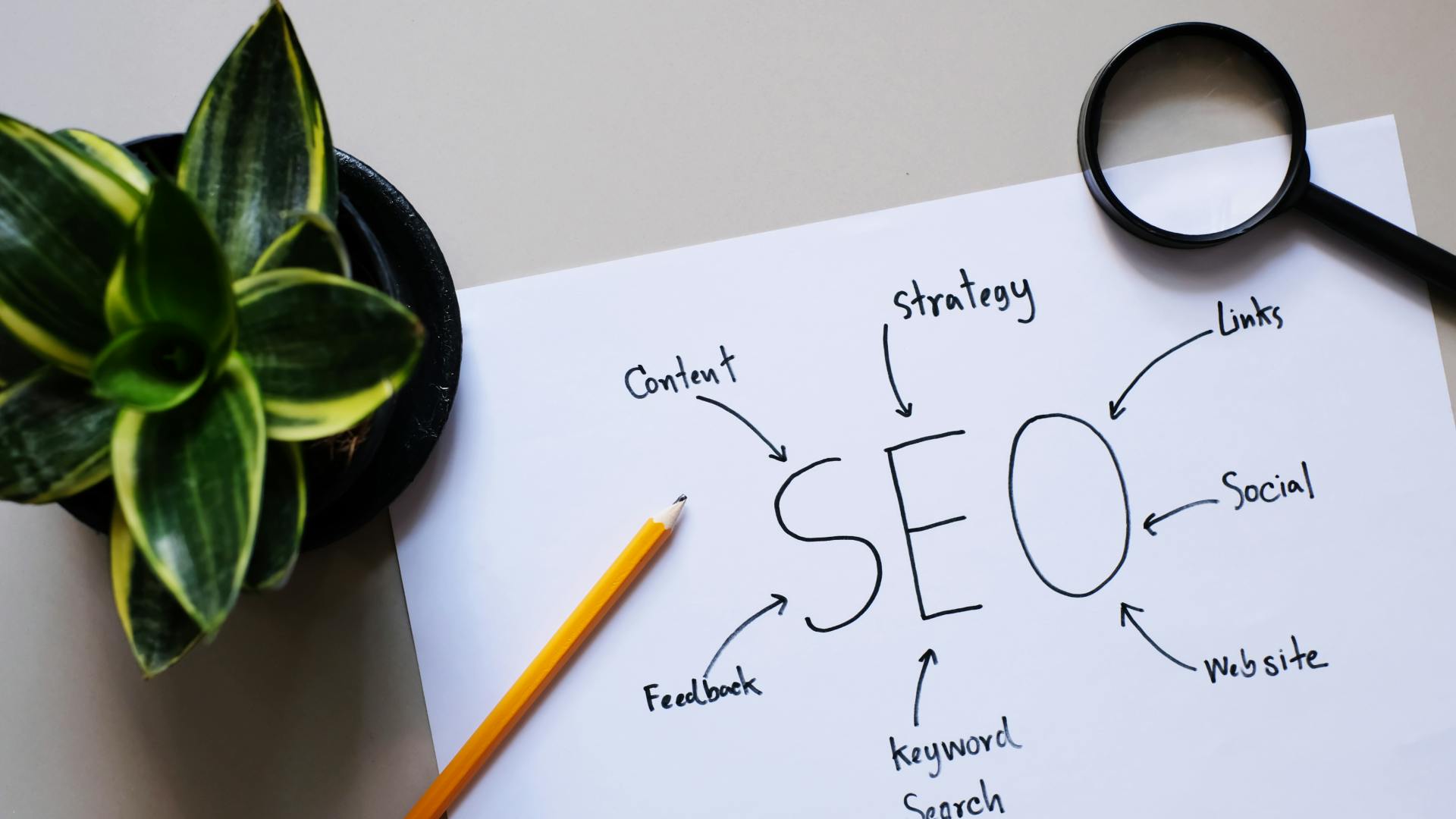 SEO doodle on paper and plant on a desk