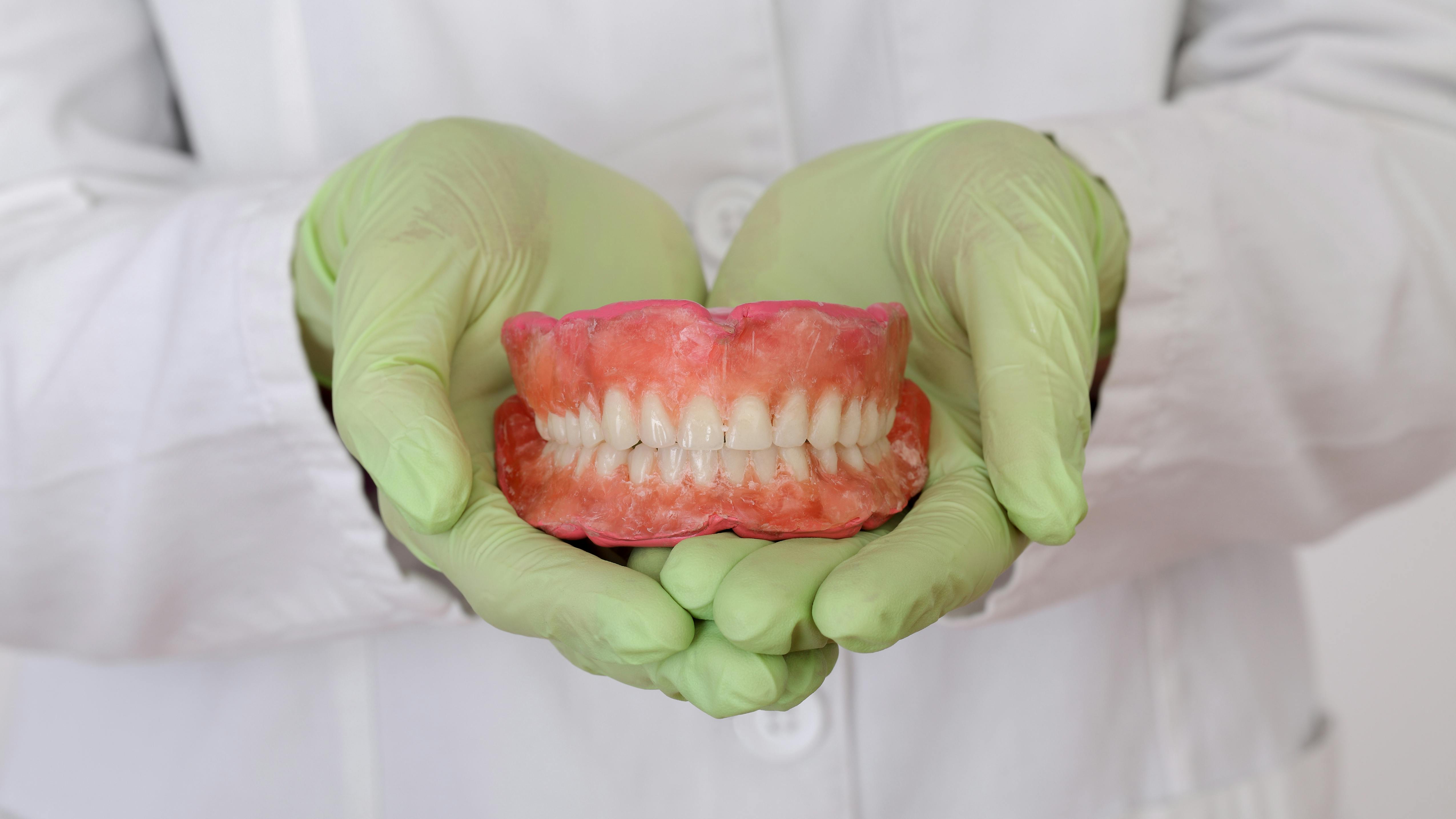 gloved hands holding a model of teeth