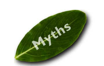 Judykaymasouf Pm Article