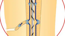 Content Dam Diq Online Articles 2015 07 15july2bcmusikant Article Thumbnail Content Dam Diq Online Articles 2015 07 15july2bcmusikant Article Thumbnail