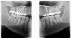 15july2bcdennehytad03 15july2bcdennehytad03