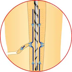 15july2bcmusikantfig02 15july2bcmusikantfig02