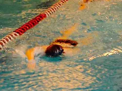 15may7bc Simmons Intro01 15may7bc Simmons Intro01