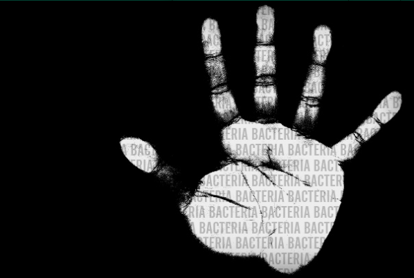 Cascades Antibacterial Paper Towel