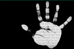 Cascades Antibacterial Paper Towel Cascades Antibacterial Paper Towel