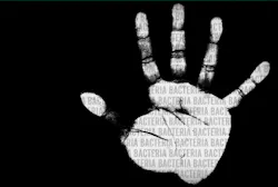 Cascades Antibacterial Paper Towel Cascades Antibacterial Paper Towel