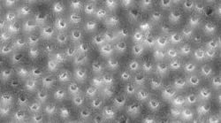 Content Dam Diq Online Articles 2015 11 15nov5bc Musikant Cleanse Canal Article Thumb Content Dam Diq Online Articles 2015 11 15nov5bc Musikant Cleanse Canal Article Thumb