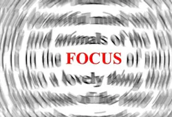 Focus For Dental Practices Focus For Dental Practices