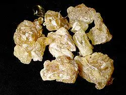 Frankincense Fo Frankincense Fo