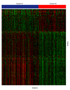 Genetic Signature Fo