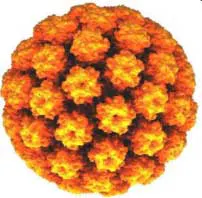 Molecule Cancer Fo Molecule Cancer Fo