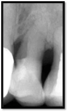 Pennwell web 223 365 Pennwell web 223 365