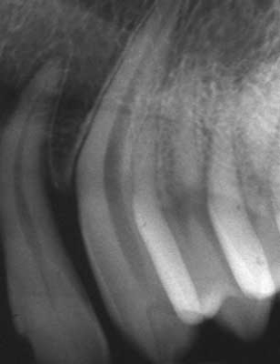 Pennwell web 308 400