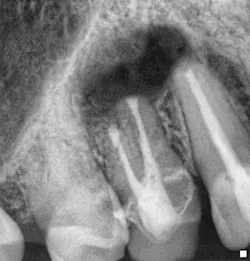 Pennwell web 384 400 Pennwell web 384 400