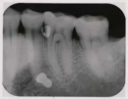 Pennwell web 400 310 Pennwell web 400 310