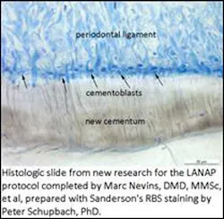 Pennwell web 400 390 Pennwell web 400 390