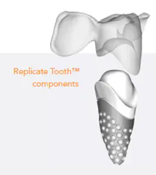 Repicate Tooth Image Copy Repicate Tooth Image Copy