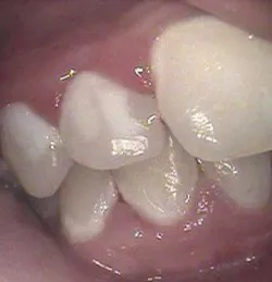 Th 0503wdjtch1 Th 0503wdjtch1