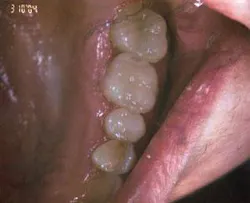 Th 0507wdjcer03 Th 0507wdjcer03