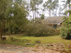 Th 0511wdjkatr01 Th 0511wdjkatr01