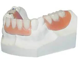 Th 0603dem Tips02 Th 0603dem Tips02