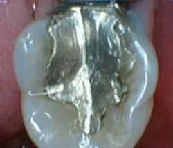 Th 0605wdj Incorp02 Th 0605wdj Incorp02