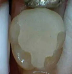 Th 0605wdj Incorp04 Th 0605wdj Incorp04