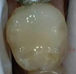 Th 0605wdj Incorp05 Th 0605wdj Incorp05