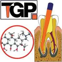 Th 0609wdj Prod02 Th 0609wdj Prod02