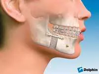 Th 0707wdjnewprod11 Th 0707wdjnewprod11