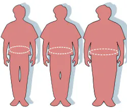 Waist Circumference Fo Waist Circumference Fo