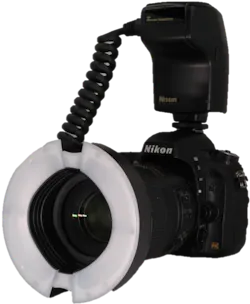 Ross Photog Fig02 Ross Photog Fig02