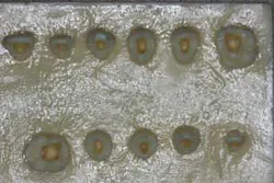 16apr7bcsimmons02 16apr7bcsimmons02