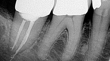 Content Dam Diq Online Articles 2016 04 16apr7bcsimmonst