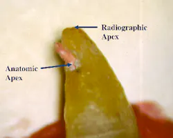 17jan5bcdeutsch02 Revised 17jan5bcdeutsch02 Revised