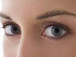 Eyes Closeup Eyes Closeup