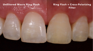 Content Dam Diq Online Articles 2017 03 17mar2bcmeek Thumb