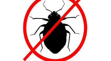 Content Dam Diq Online Articles 2017 04 No Bed Bugs 1