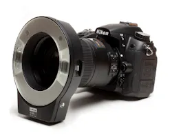 17may4bcwych P01 17may4bcwych P01